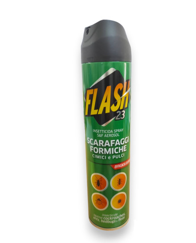 FLASH 23 SCARAFAGGI E FORMICHE