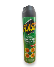 FLASH 23 SCARAFAGGI E FORMICHE