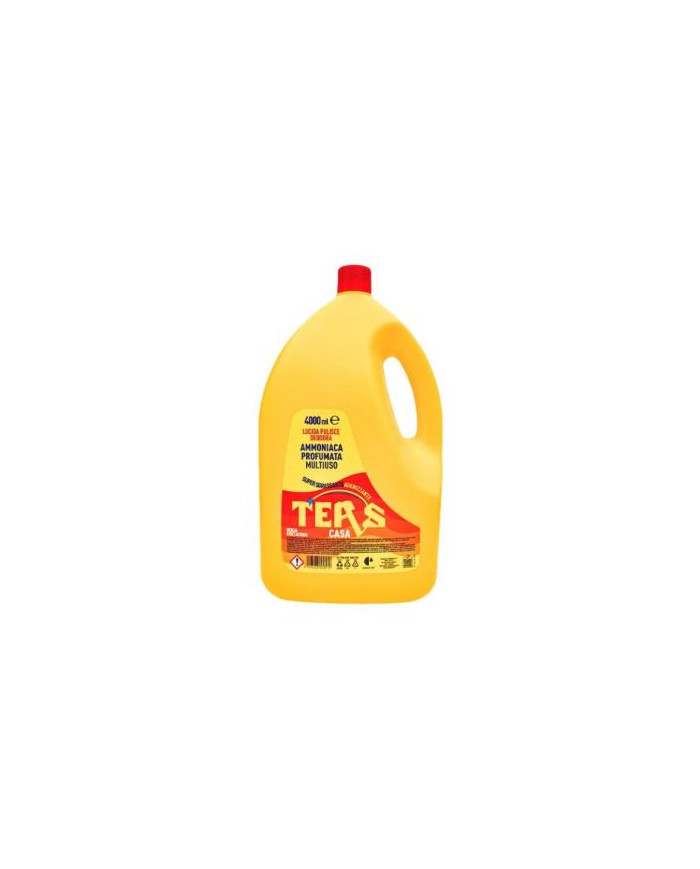 TERS AMMONIACA 4LT