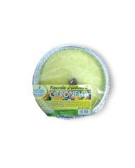 CITRONELLA PADELLA ROMANA D14