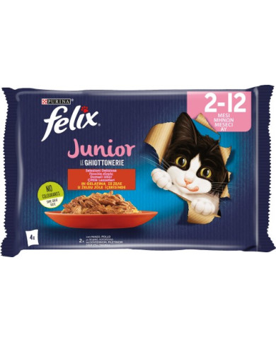 FELIX LE GHIOT. 85GRX4 JUNIOR