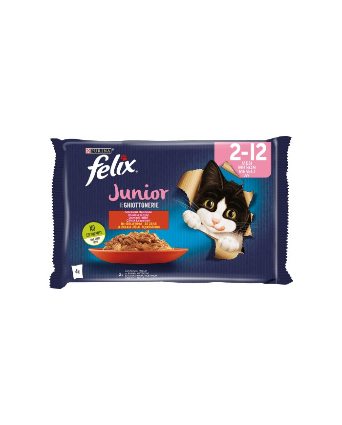 FELIX LE GHIOT. 85GRX4 JUNIOR