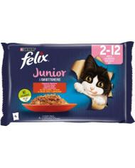 FELIX LE GHIOT. 85GRX4 JUNIOR
