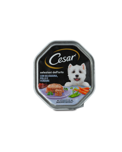 CESAR VASCH.RICET.CAM.POLLO/SELVAG/VERD.