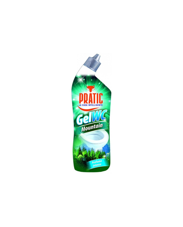 PRATIC GEL WC MONTAIN ML. 750